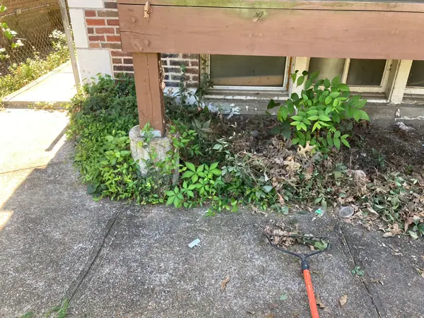 Growth pulled back from under the deck, raked into piles on the walk before haul-off